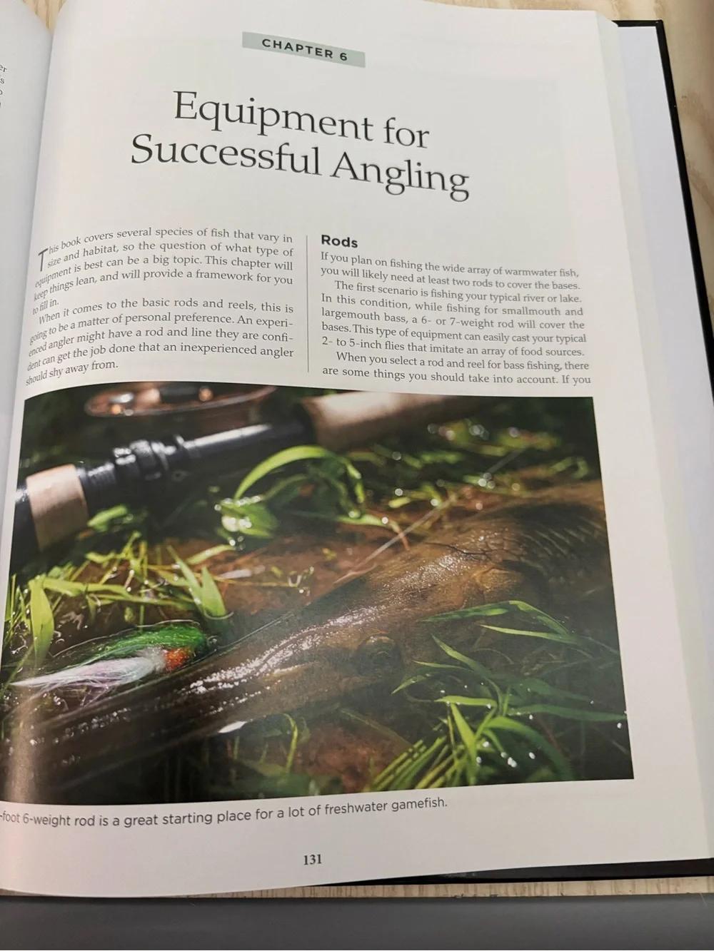 MATCHING WARMWATER BAITFISH by – Kevin Feenstra